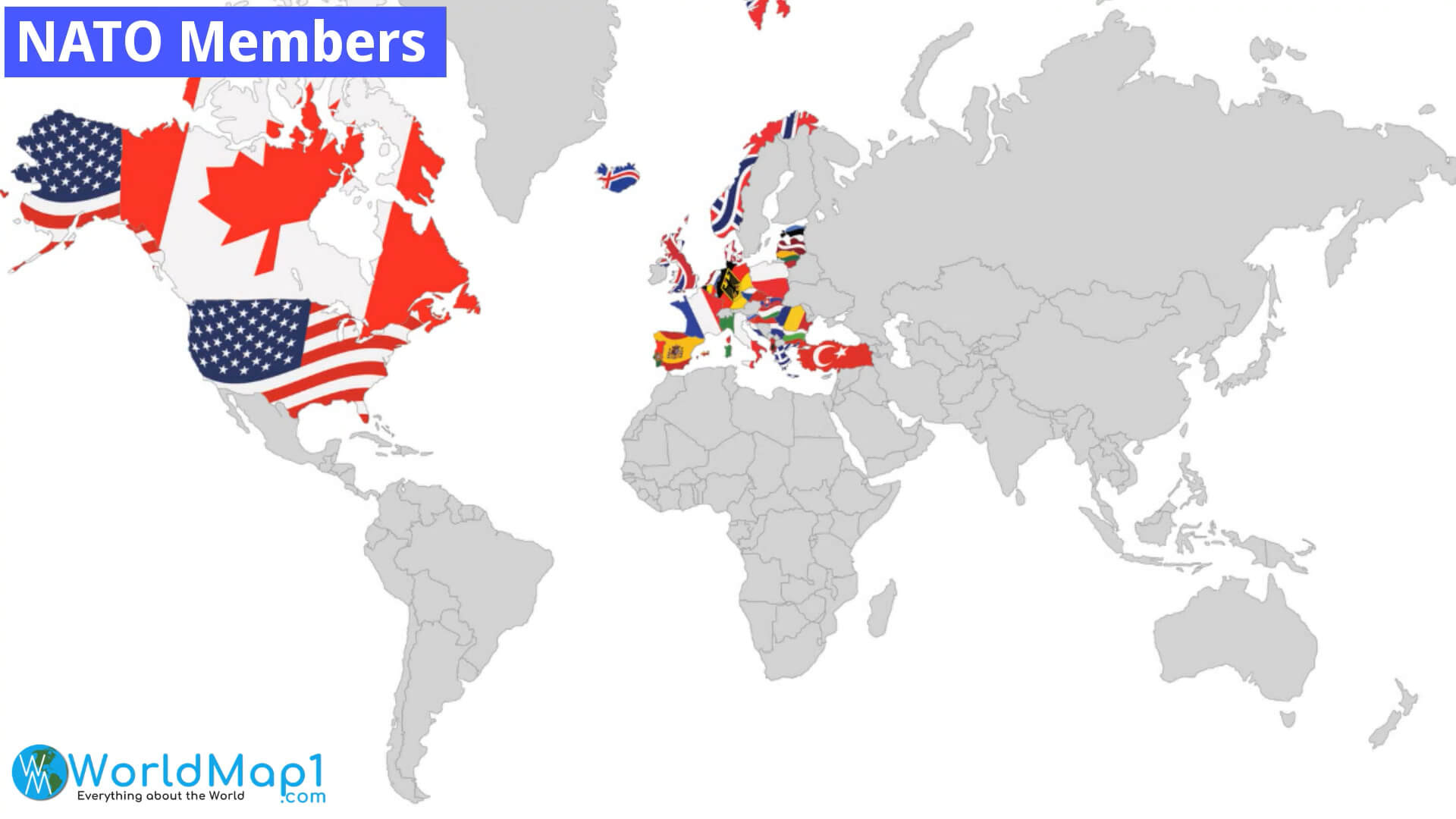 NATO Members with National Flags